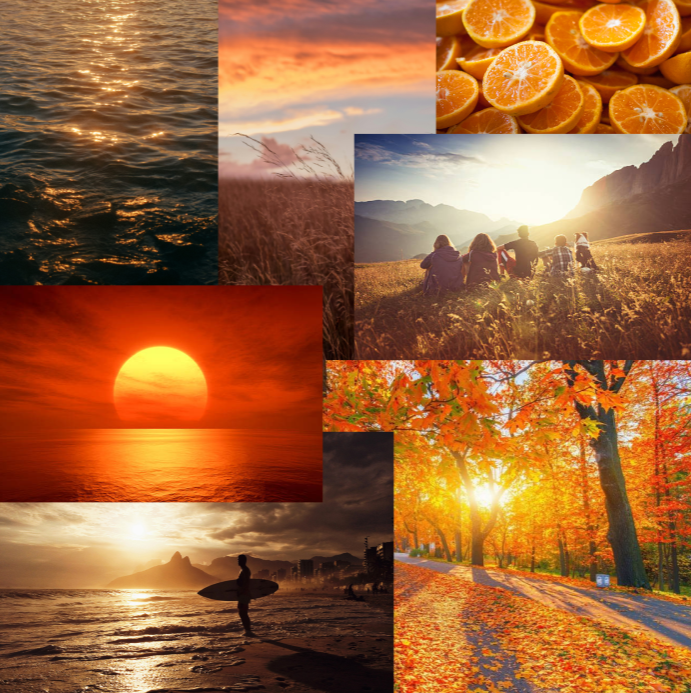 Promotional Materials